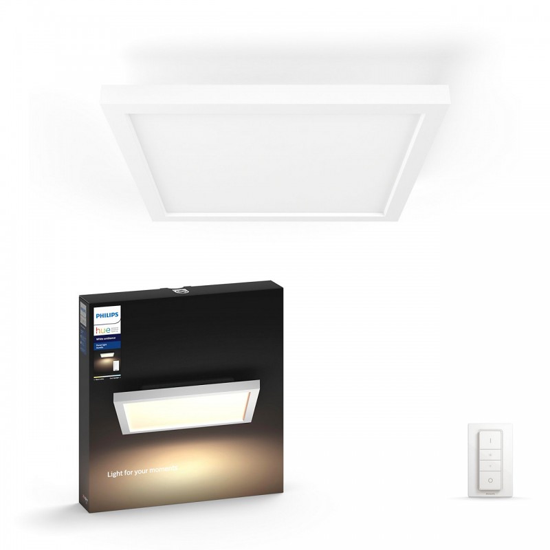 Buy Philips Hue White Ambiance Adore Ceiling Light LED with dimmer