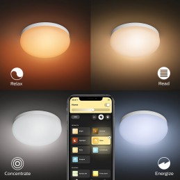 Philips Hue White and Color Ambiance Flourish - ceiling