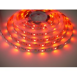 LED pásek 24V RGB+CW 14,4W vnitřní