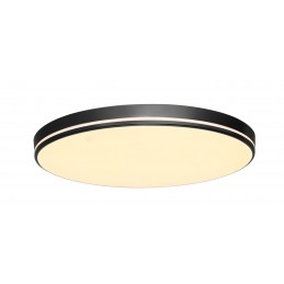 Immax NEO LITE AREAS Smart ceiling lamp 51cm 48W